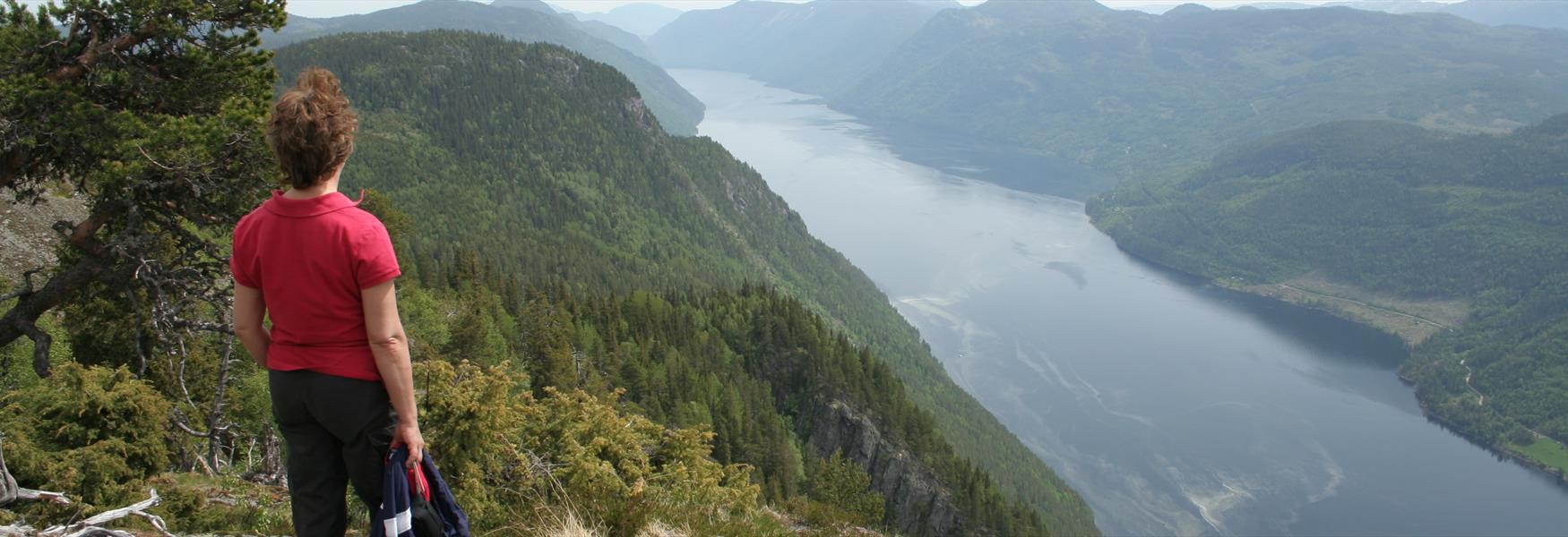 man standing on a cliff in Dalen and enjoying the view