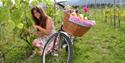 lady bikes through the vineyard