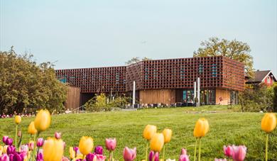 Nytt museumsbygg i Brekkeparken med tulipaner