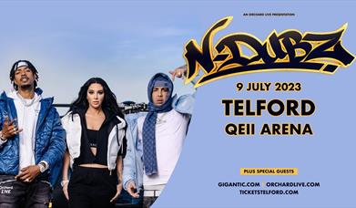 Promotional flyer for N-Dubz tour