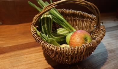 Vine Willow Wood Foraging Basket Workshop