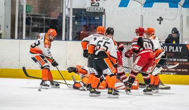 A Telford Tigers Ice Hockey match in action