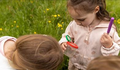 Minibeast Hunt and Nature Crafts at Haywood