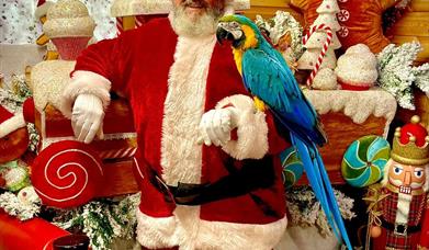 Christmas at Exotic Zoo