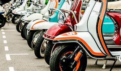 A row of Italian scooters parked up