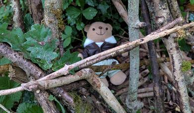 Teddy Bear Den!
