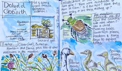Example pages from a nature journal