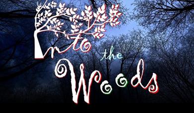Into the Woods