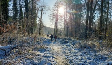 snow walk