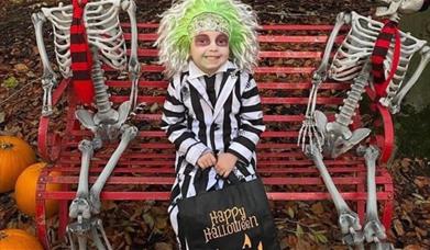 Child dressed up for Halloween