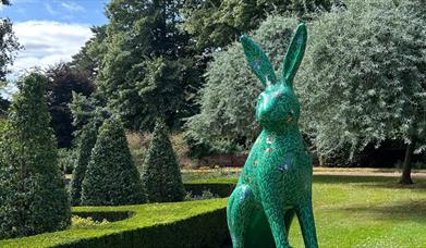 Oli & Nel's Hare-Raising Adventure