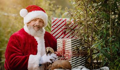 Christmas at Exotic Zoo