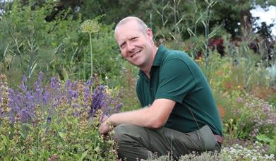 Gardener in herb garden