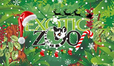 Christmas at Exotic Zoo