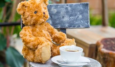 Telford Steam Railway Teddy Bears Picnic