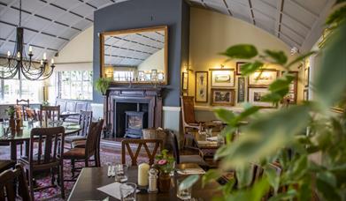 The Fox Newport
