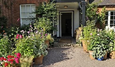 Pots outside the front door at Goldstone