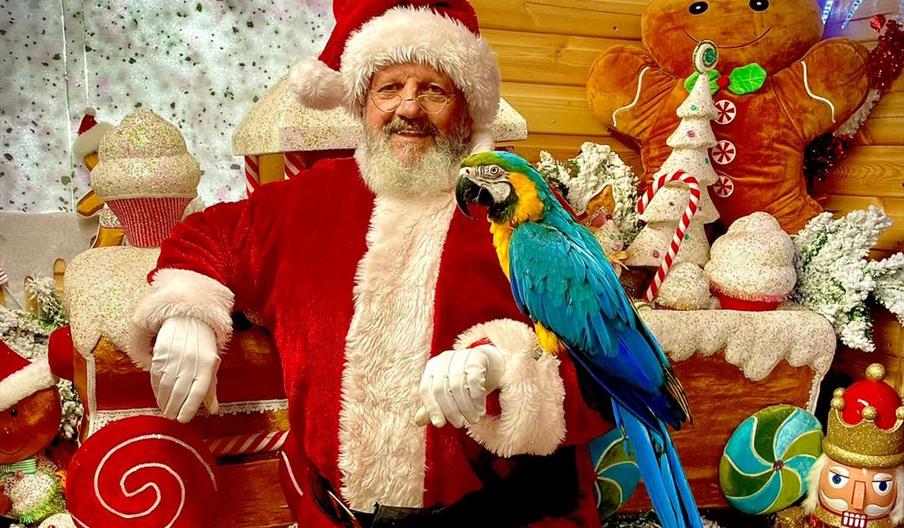 Christmas at Exotic Zoo