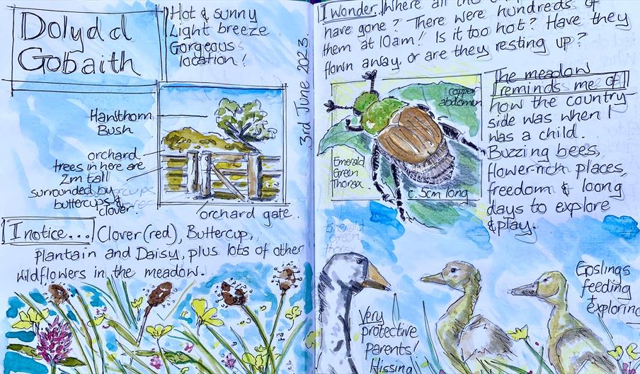 Example pages from a nature journal