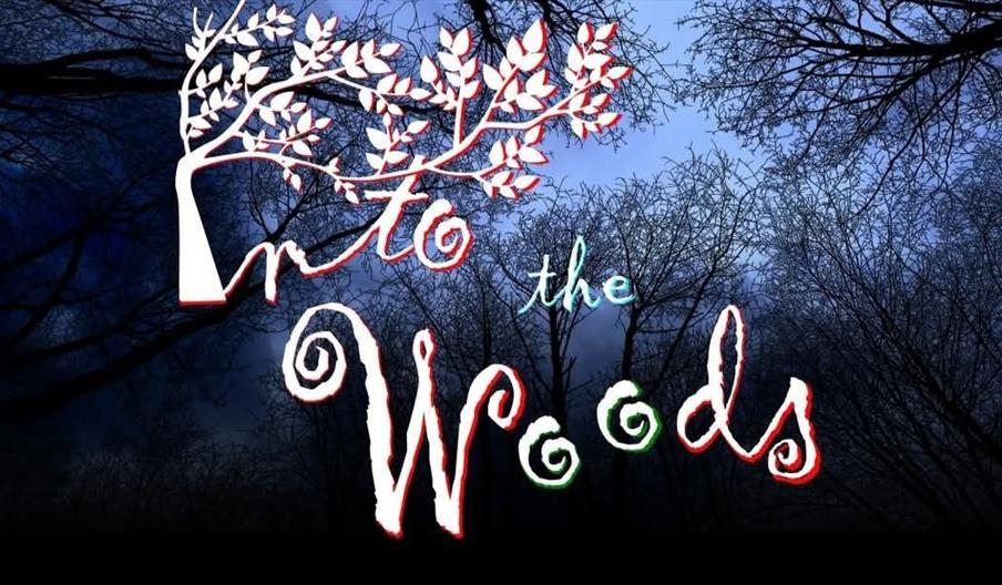 Into the Woods