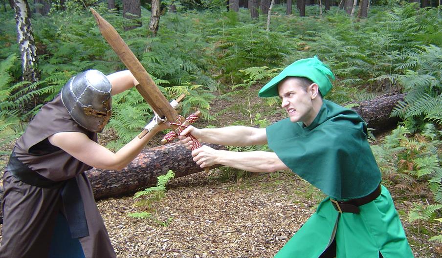 Robin Hood Rescues The Forest
