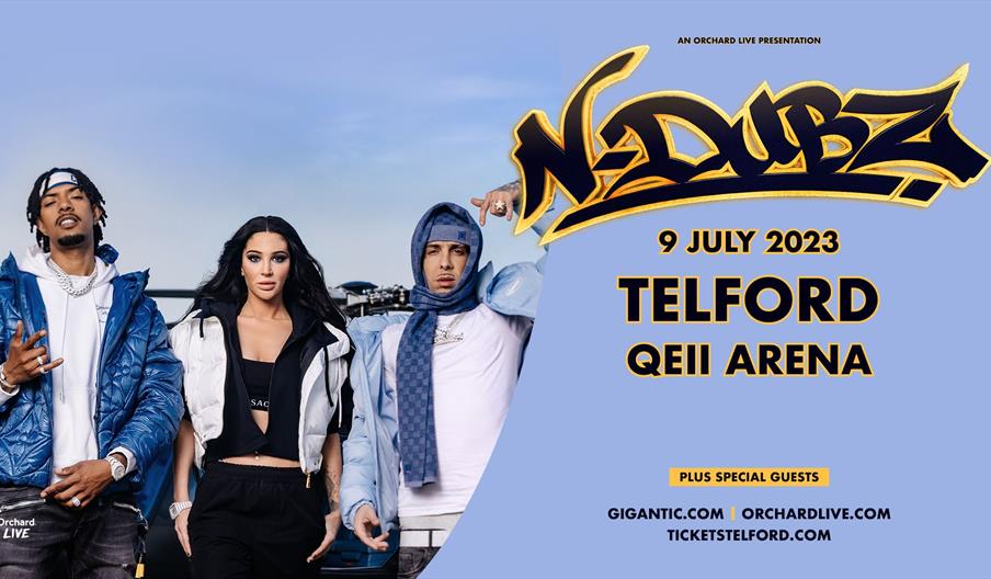 Promotional flyer for N-Dubz tour