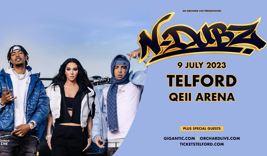 Promotional flyer for N-Dubz tour