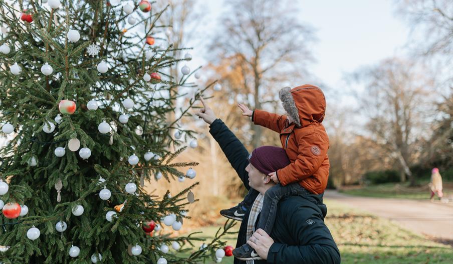 a parent and child viewing a Christmas tree in the park