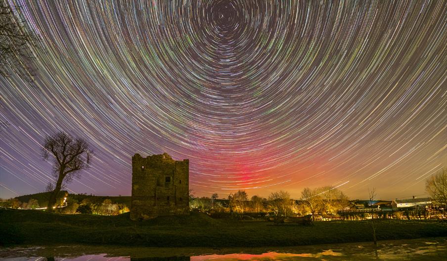 Behind the Lens: Wildlife and Wonder with Andrew Fusek Peters