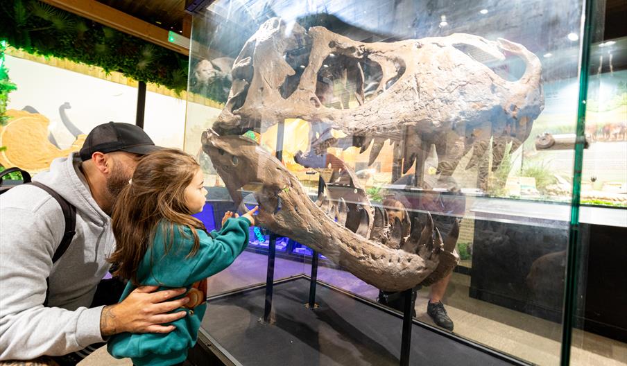 Exotic Zoo Fossil Festival