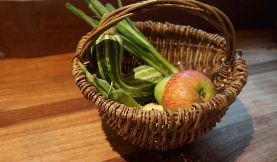 Vine Willow Wood Foraging Basket Workshop