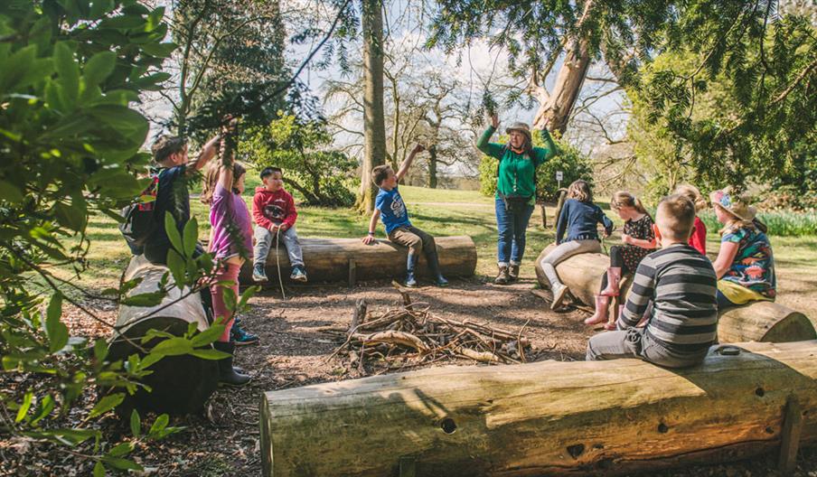 Go Wild at Weston