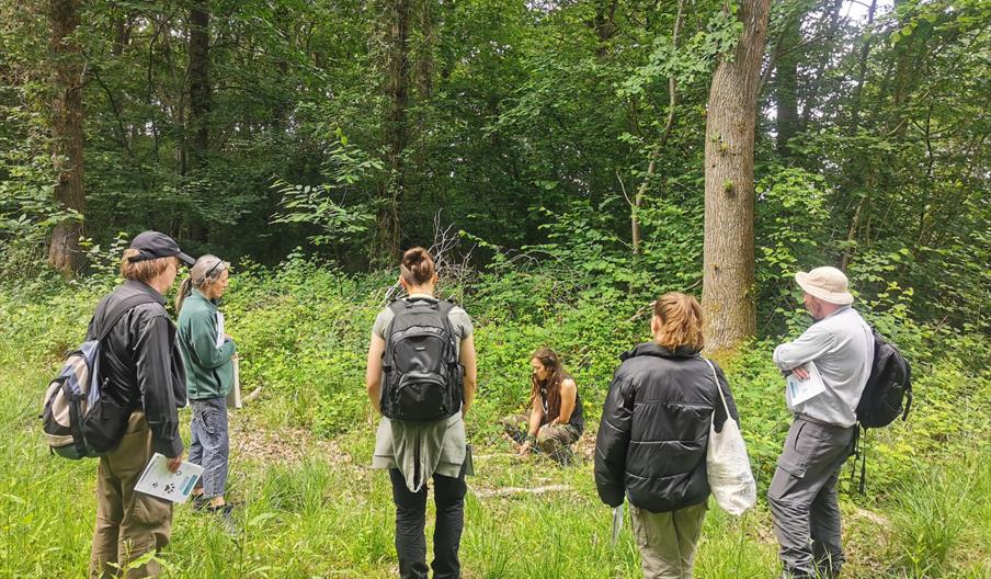 mammal tracking