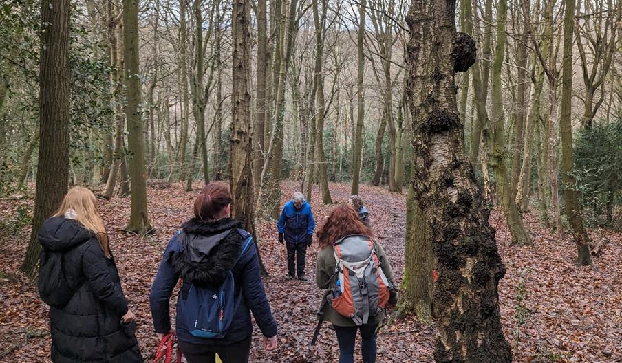 A group of walkers