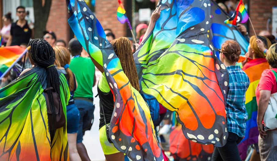 Participants in Oakengates Carnival dressed as butterflies