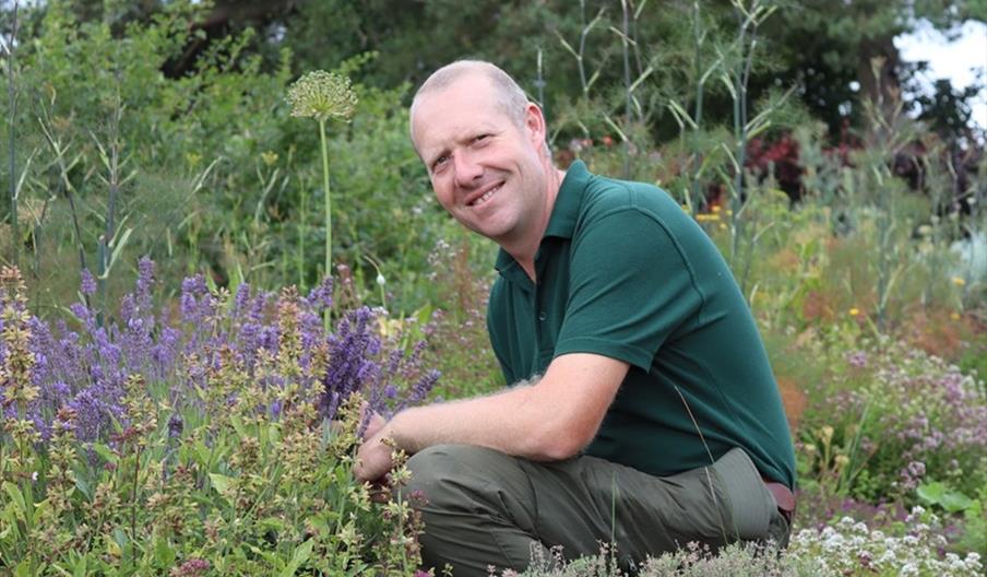 Gardener in herb garden