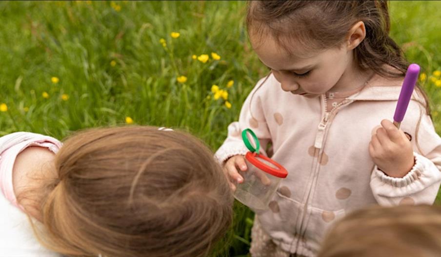 Minibeast Hunt and Nature Crafts at Haywood