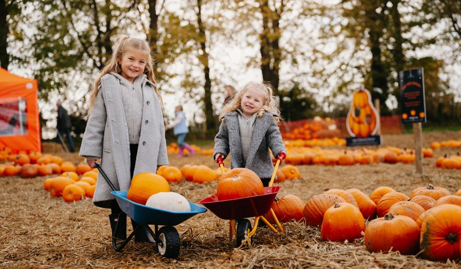 Apley Farm Shop's Haunted Harvest
