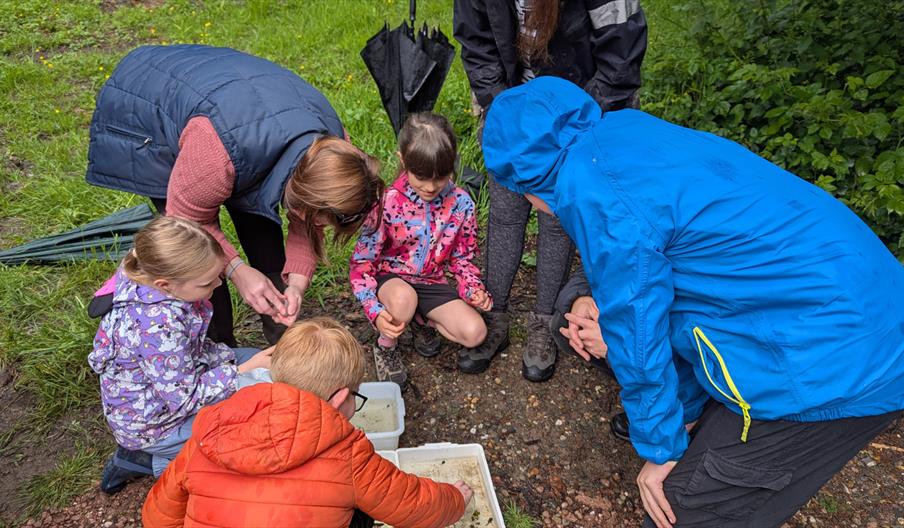 Family Friendly Welly Walk