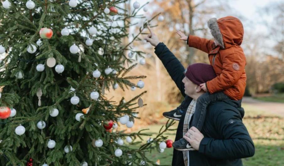 Where's my Reindeer?