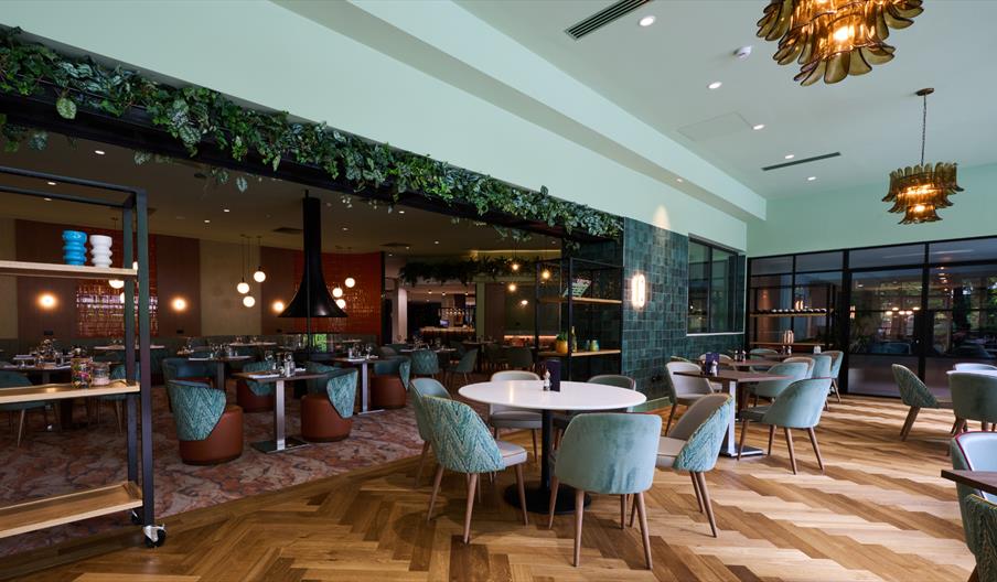 Olive Tree Restaurant - voco Telford Ironbridge