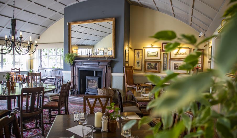 The Fox Newport