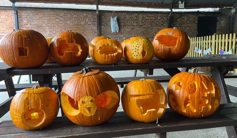 10 pumpkins cut as jack o lanterns in two rows on a picnic bench