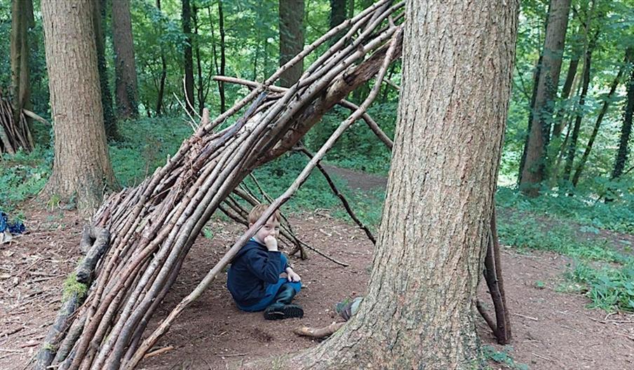 Den building in the woods