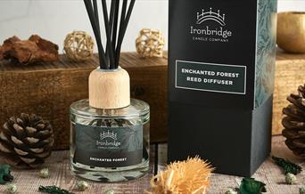Christmas Home Fragrance Diffuser