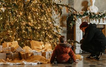 Two individuals kneeling in front of a Christmas tree.