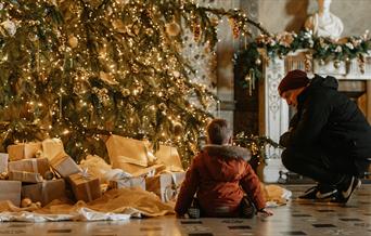 Two individuals kneeling in front of a Christmas tree.