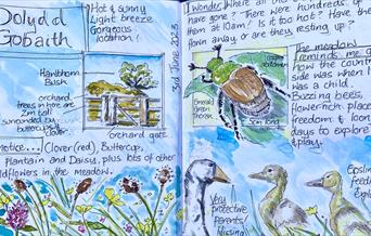 Example pages from a nature journal