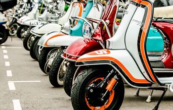 A row of Italian scooters parked up