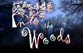 Into the Woods